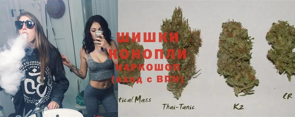 ешки Переславль-Залесский