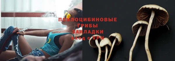 ПСИЛОЦИБИНОВЫЕ ГРИБЫ Балахна