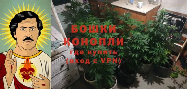 крисы Баксан