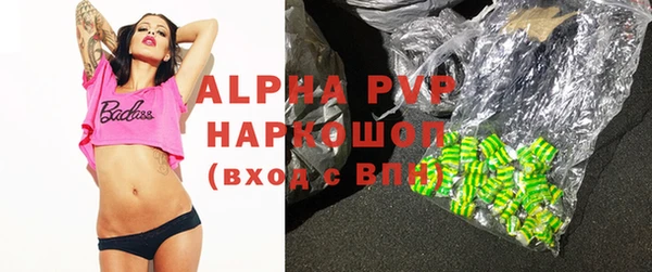 крисы Баксан